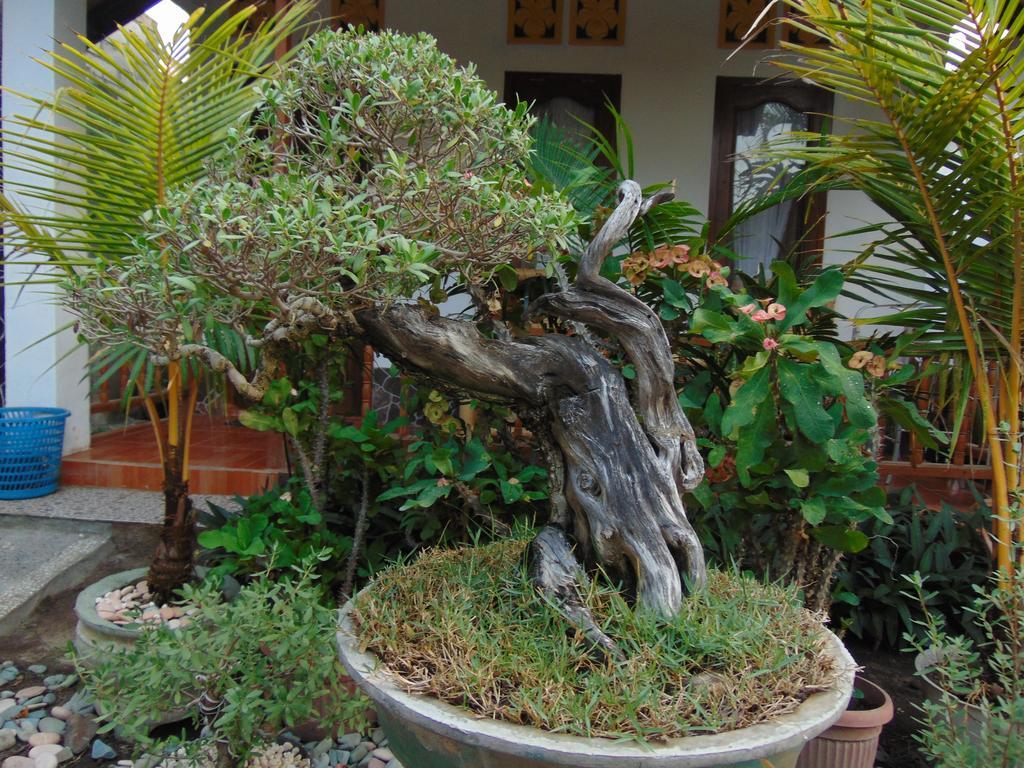 Santigi Homestay Gili Air Esterno foto